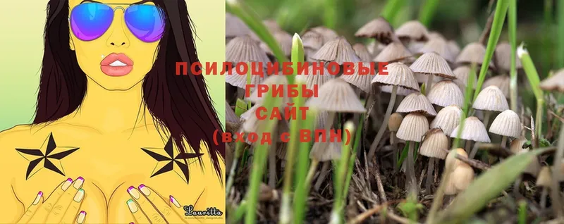 Галлюциногенные грибы MAGIC MUSHROOMS  Далматово 